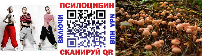 Псилоцибиновые грибы ЛСД  наркотики  Краснокаменск 